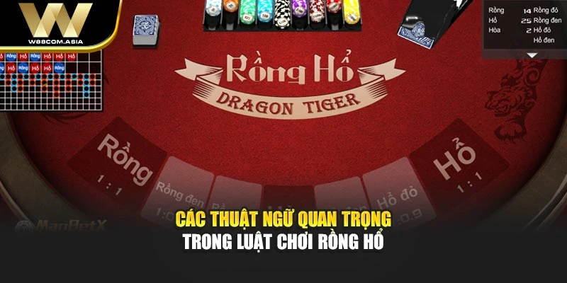 Các thuật ngữ quan trọng trong luật chơi Rồng Hổ