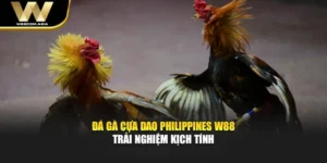 Đá Gà Cựa Dao Philippines