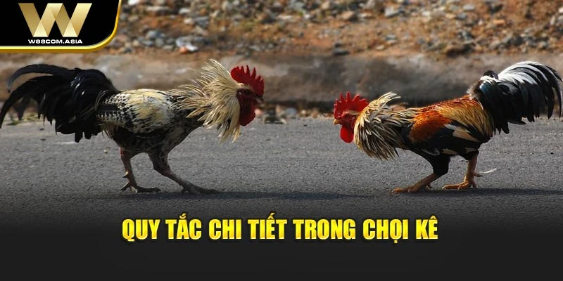 Quy tắc chi tiết trong chọi kê
