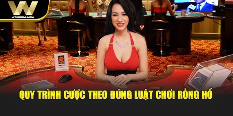 Quy trình cược theo đúng luật chơi Rồng Hổ